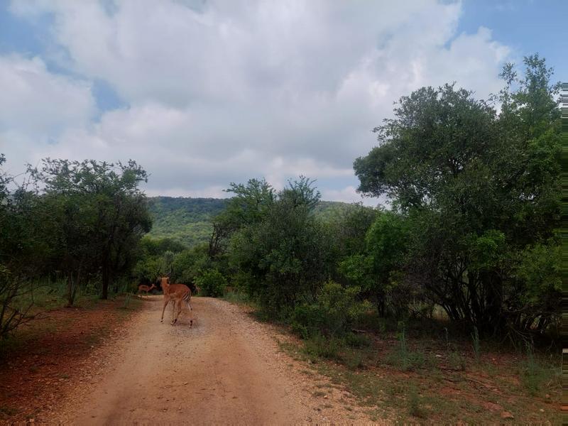 0 Bedroom Property for Sale in Rustenburg Rural North West